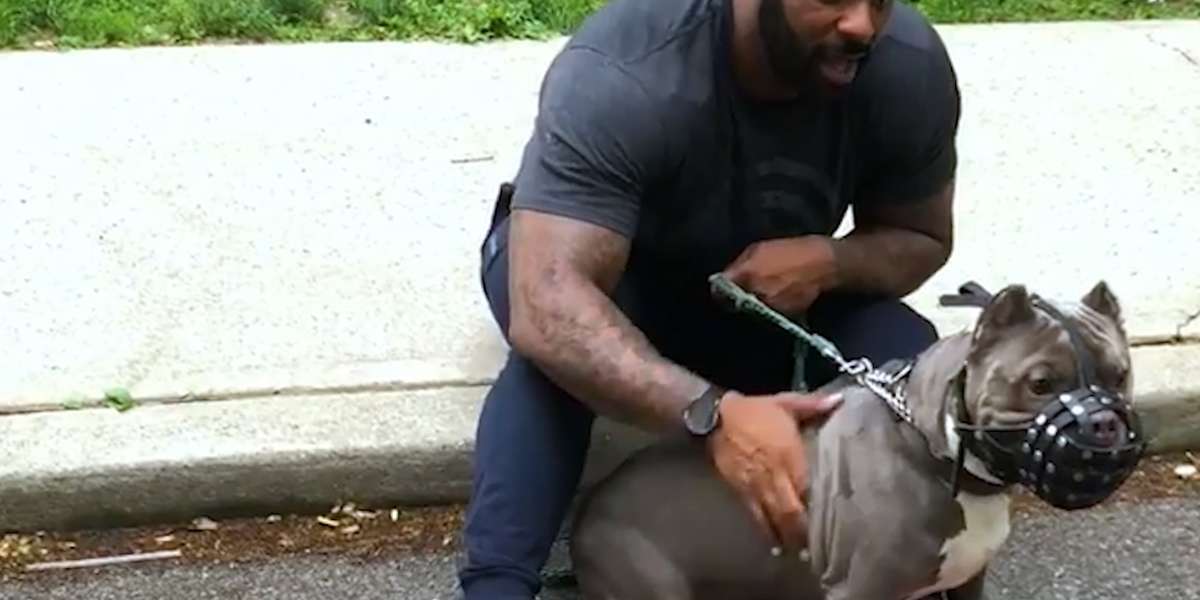 Aggressive Dog Who Was Scared Of Men Turns Into A Daddy's Boy - Videos