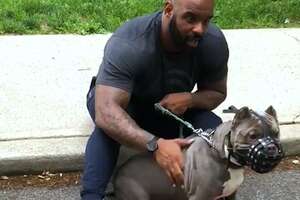 Aggressive Dog Who Was Scared Of Men Turns Into A Daddy's Boy