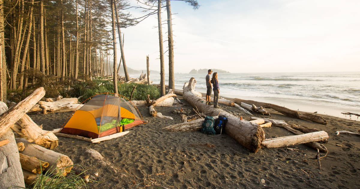 North clearance west campsites