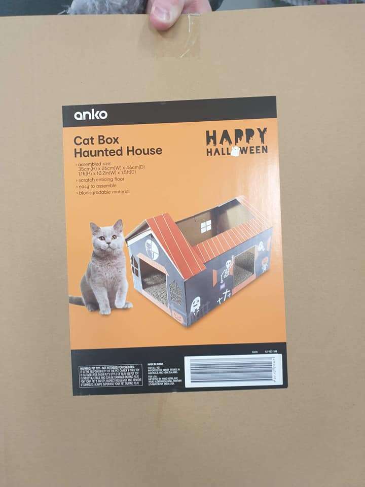 cat haunted house