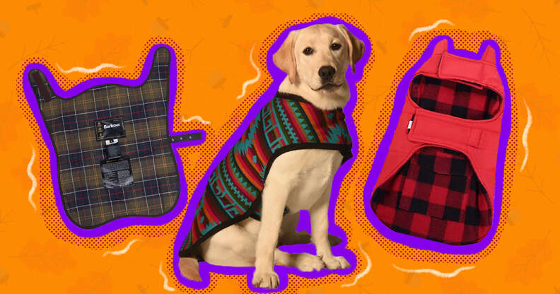 fall coats for dogs