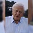 Sir David Attenborough Breaks Instagram Follower Record In Mission To Save The Planet