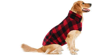 waterproof dog plaid coat amazon