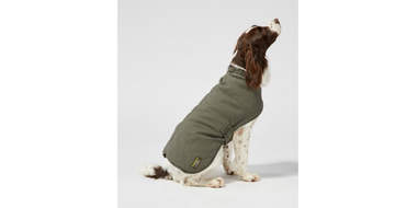 L.l.bean dog field coat