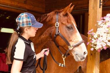 bronx equestrian center horse