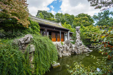 New York Chinese Scholar's Garden