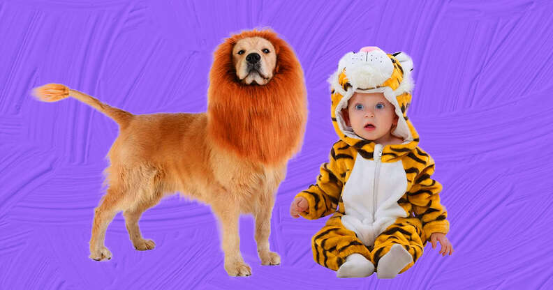 lion and tiger baby and dog costume