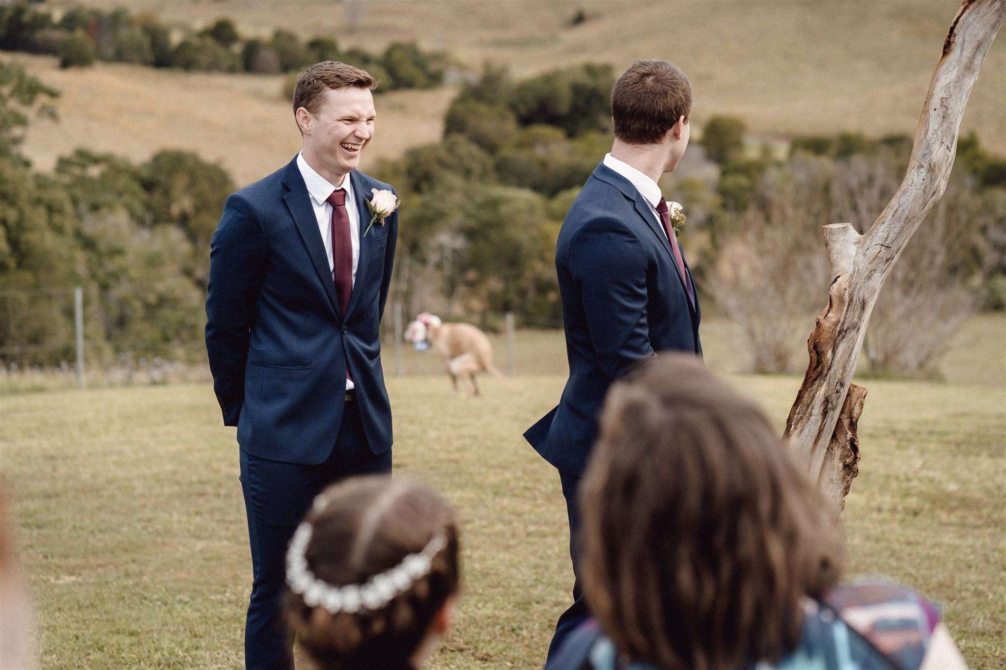 dog wedding