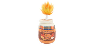 Pumpkin Spice Candle Dog Toy