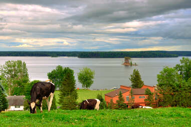 horses on a hill overlooking a barn and a lake