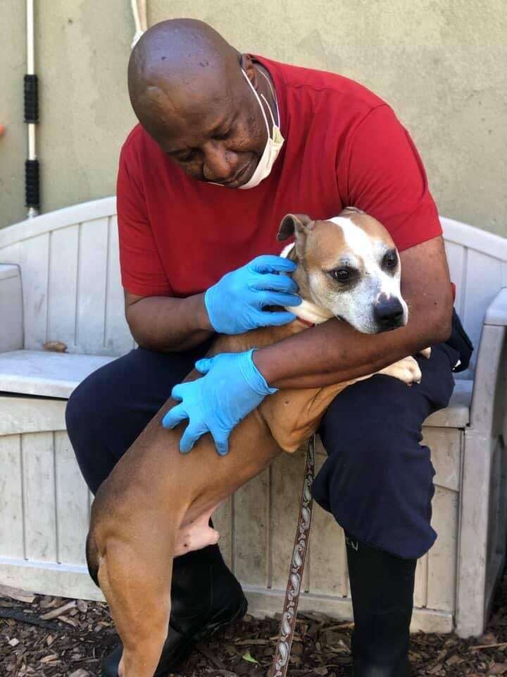 rescue dog gives hugs