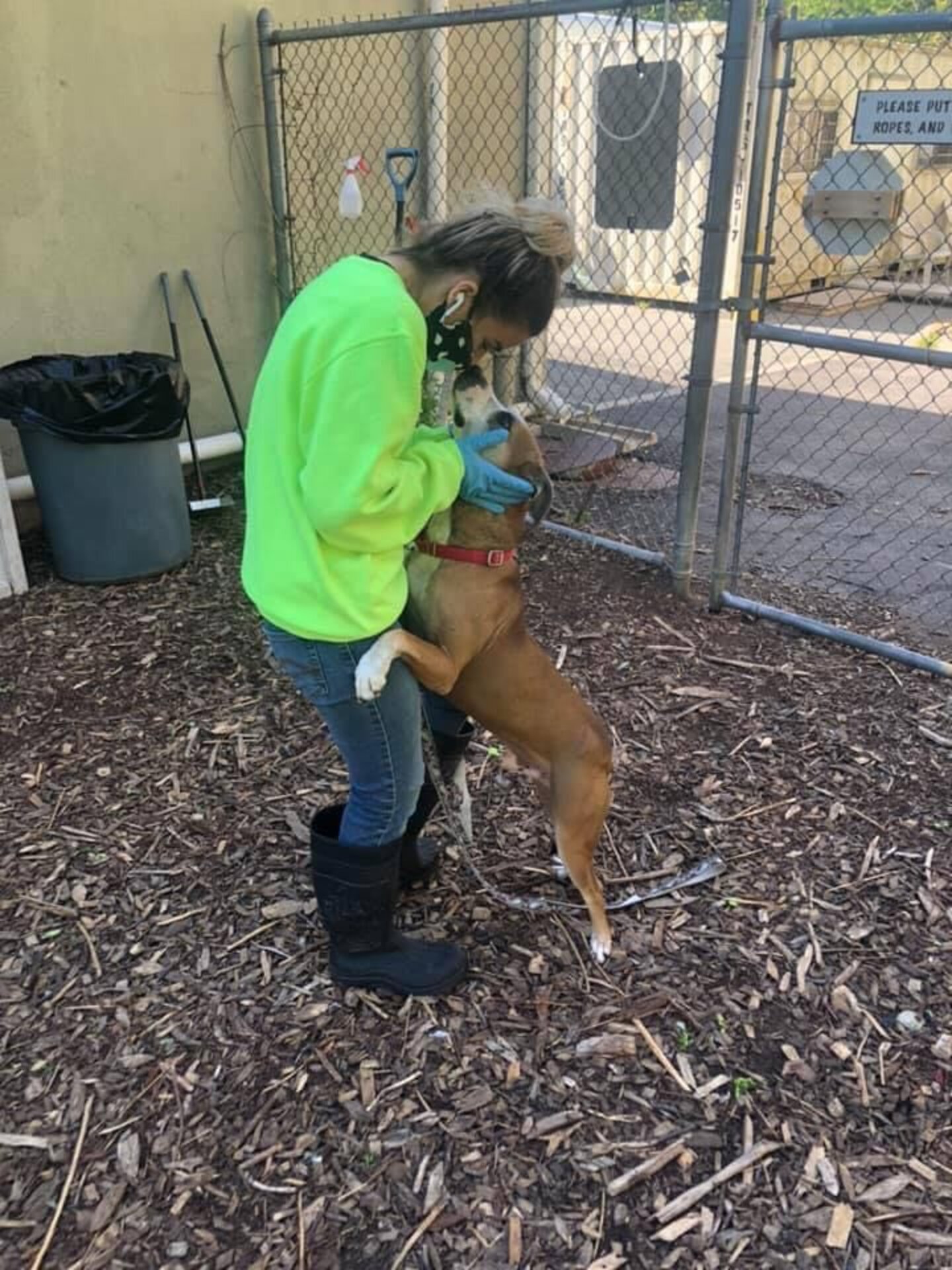 Rescue Dog Gives Hugs To Everyone He Sees - The Dodo