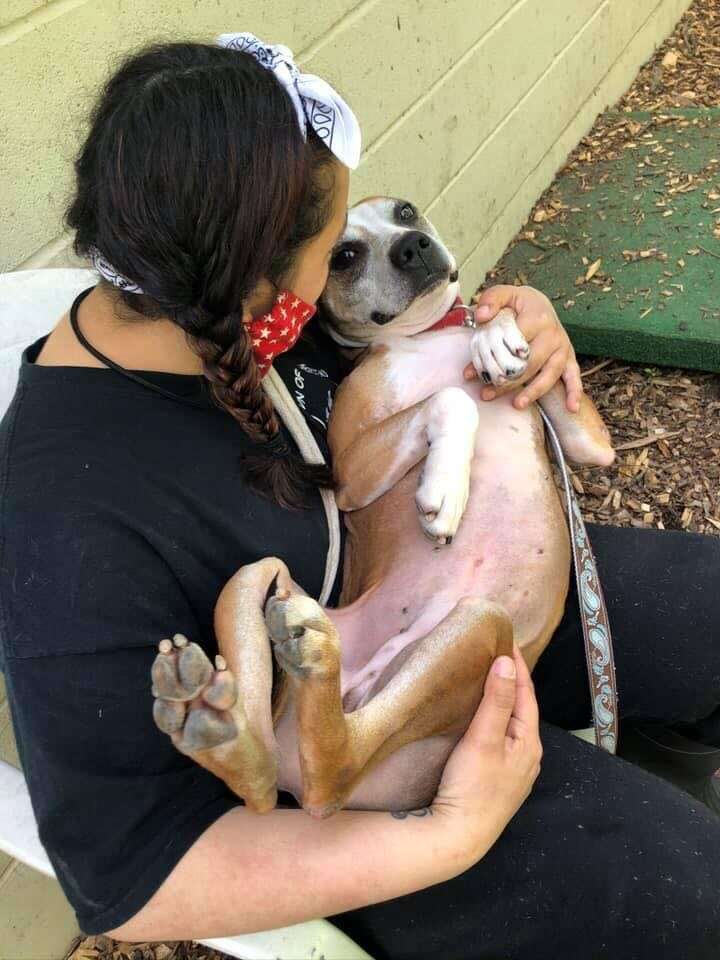 rescue dog gives hugs