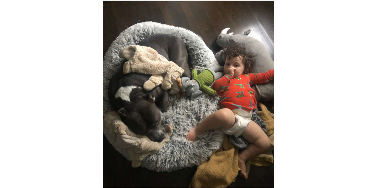 dog and baby snuggling in bed