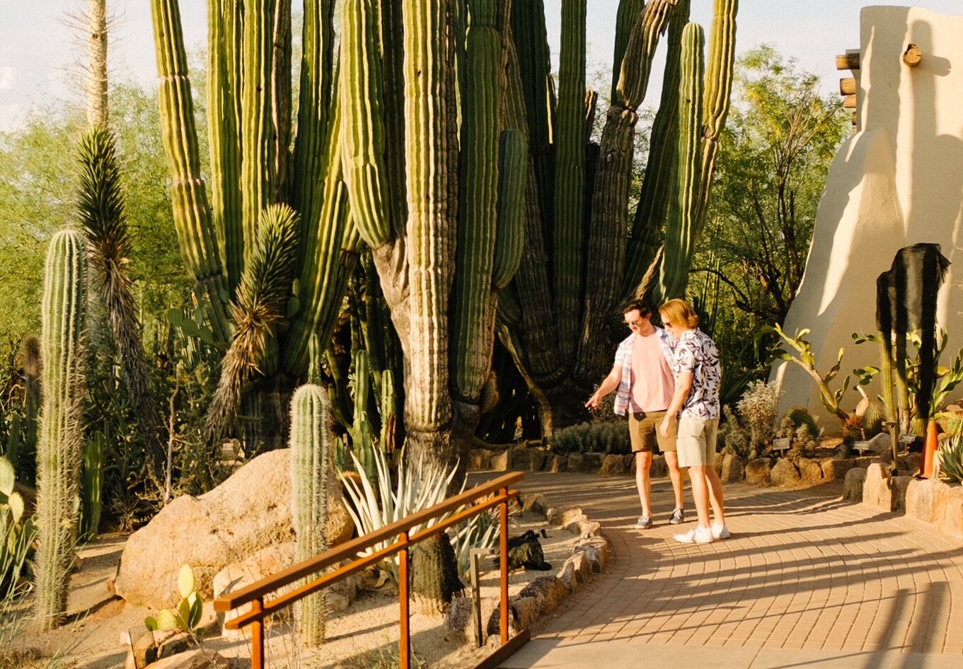 Best date ideas in phoenix fun date activities romantic date spots