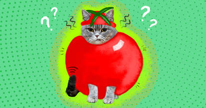 is it ok to dress up my pet