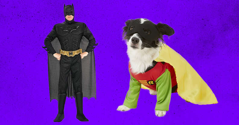 Batman and Robin dog and owner costume