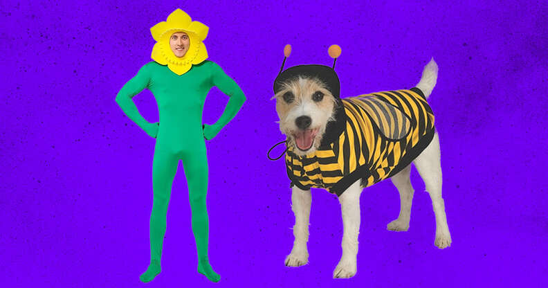 flower and bee costume for adult and dog