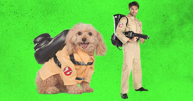 ghostbusters dog and adult matching costumes