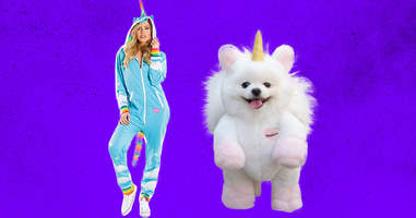 Unicorn costumes for owner and dog