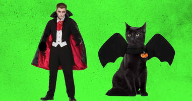 vampire and bat cat and owner costume