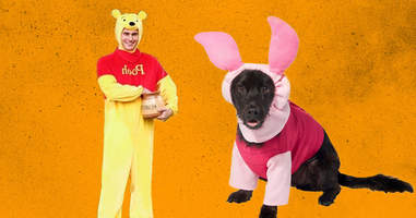 Pooh and Piglet dog and owner costume