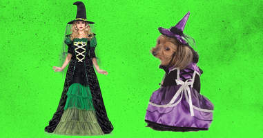 Cute witch costumes for dog and owner