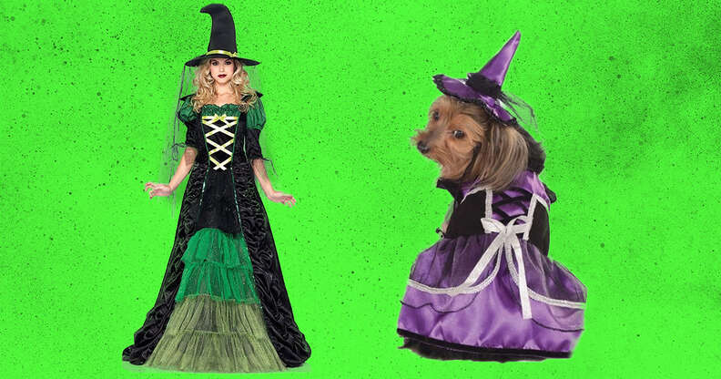 16 Dog And Owner Halloween Costumes That Match - DodoWell - The Dodo