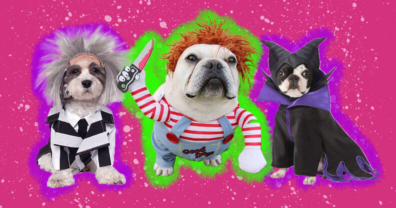 scary dog halloween costumes
