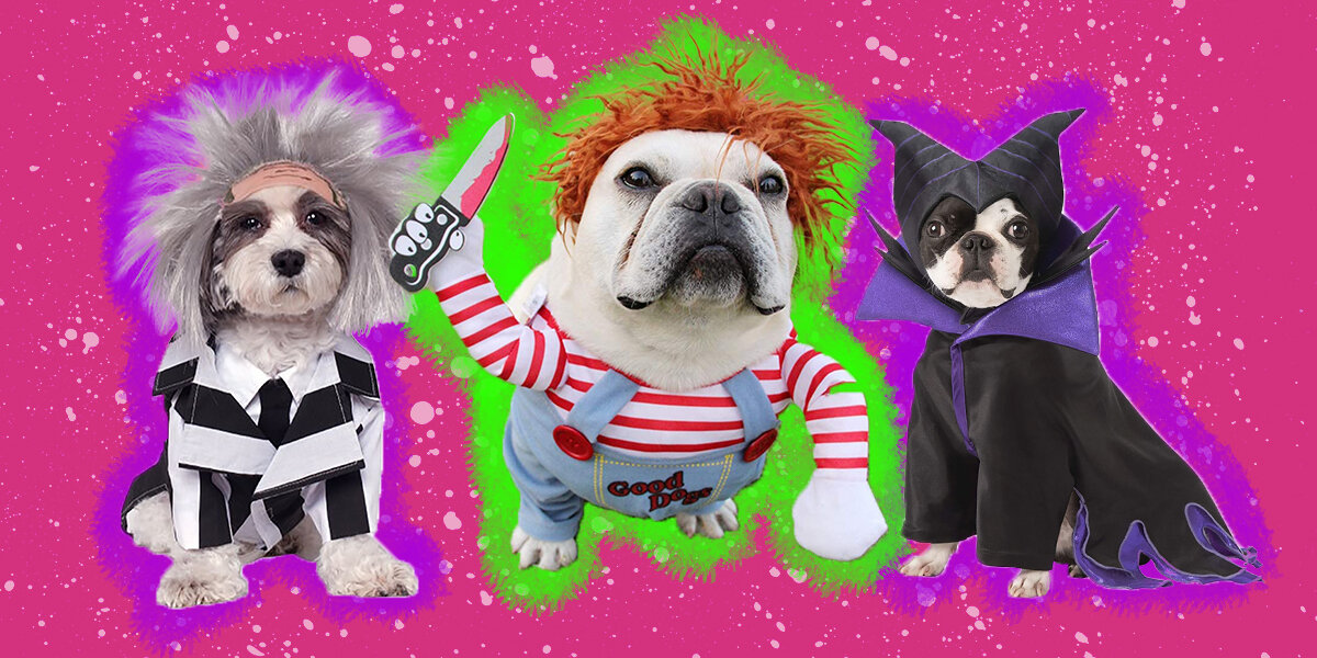 11 Spookily Adorable Halloween Dog Costumes