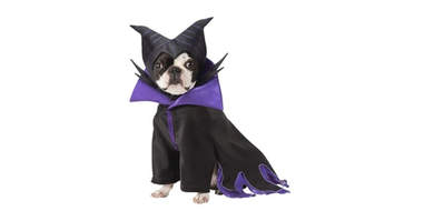 Maleficent dog costume