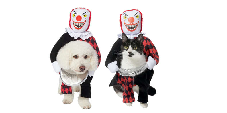 Deadly killer clown dog costume