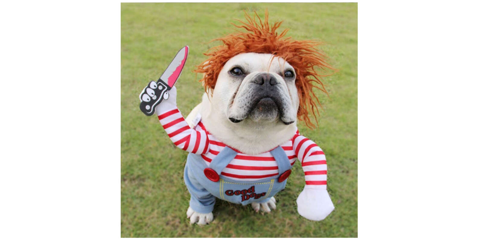 13 Of The Scariest Dog Halloween Costumes - The Dodo