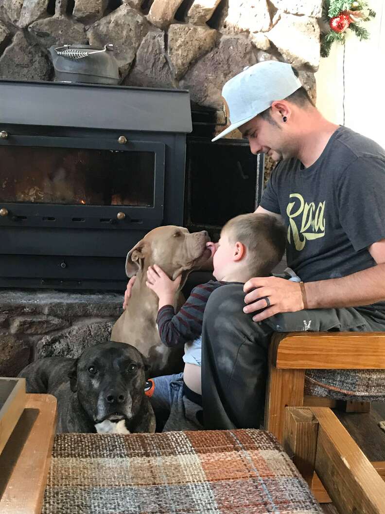 Family Gets Special Gates With Pit Bulls On Them - The Dodo