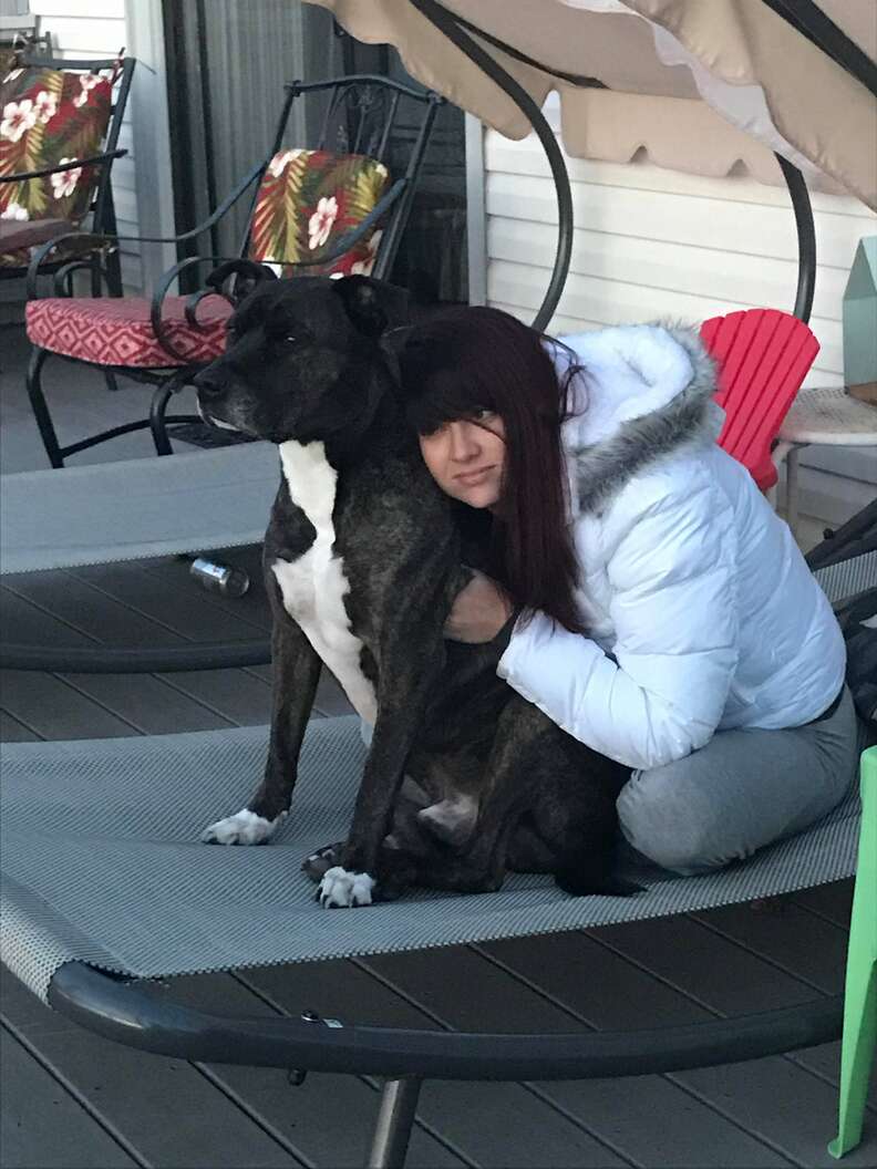 Family Gets Special Gates With Pit Bulls On Them - The Dodo