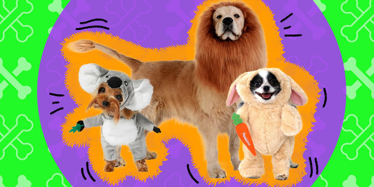 Pet Costume Dog Cat Halloween Costume Funny Pet Costumes 