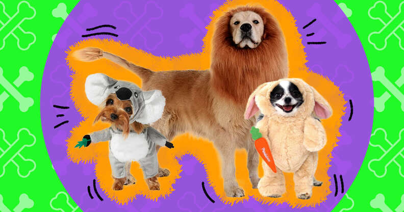 Beanie Baby Dog Costume - Fuzzy Today