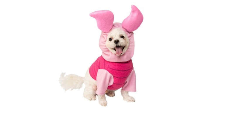 piglet costume for dogs