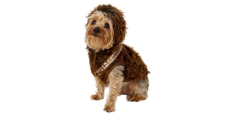 Chewbacca dog costume