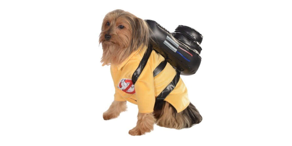 dog in a ghostbusters costume