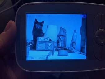 Cat caught being naughty on baby monitor