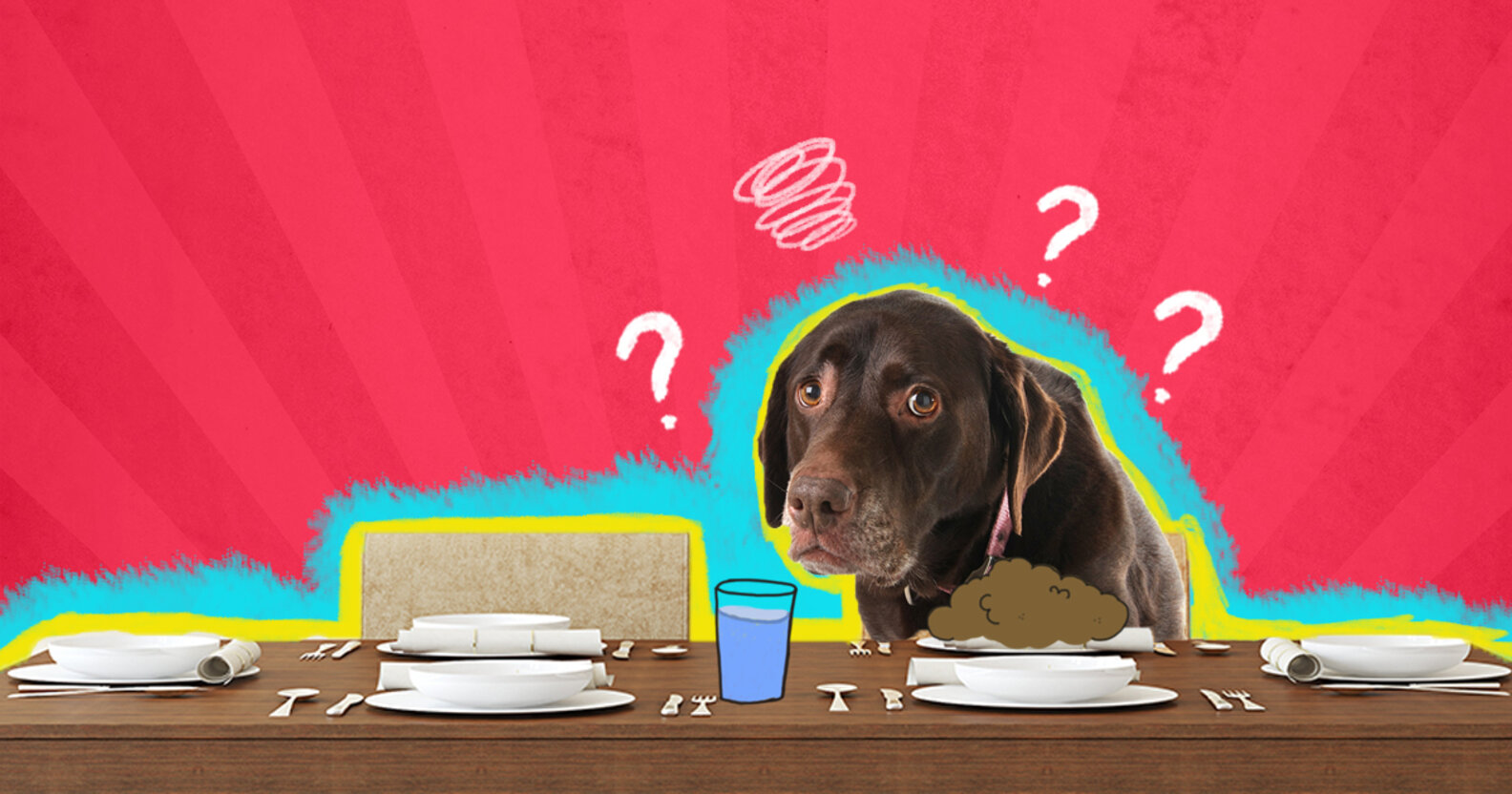 Why Does My Dog Only Eat When I’m Around? DodoWell The Dodo