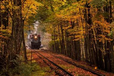 a train chugging through a thick autumnal forest 