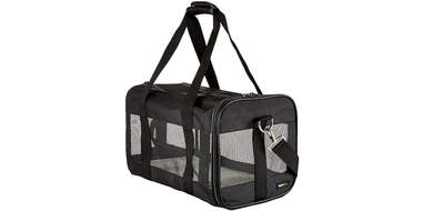 soft mesh travel carrier