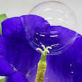 Bubble Machine Demonstrates Artificial Pollination