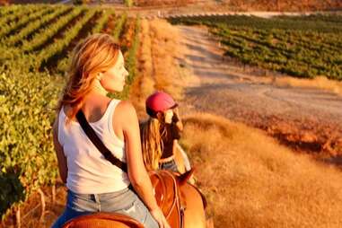 Wine Country Trails By Horseback