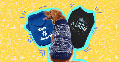 8 dog hanukkah sweaters