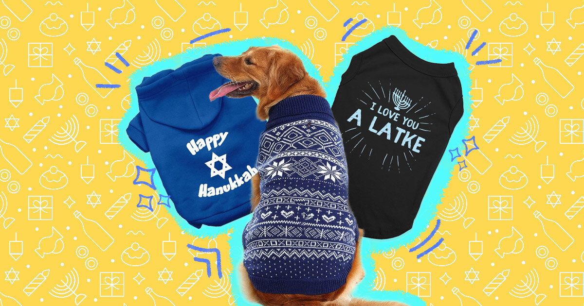 hanukkah dog sweater