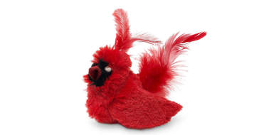  cardinal toy for cats