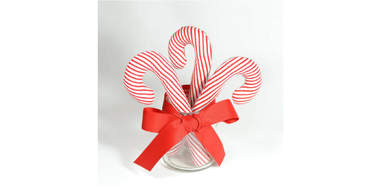 catnip candy cane toy